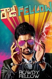 Rowdy Fellow 2014 one on netflix