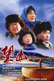 望山 2007 one on netflix