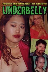 Underbelly 2003 one on netflix