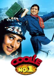 Coolie No. 1 1995 one on netflix
