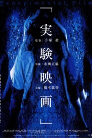 The Experimental Film 2000 one on netflix
