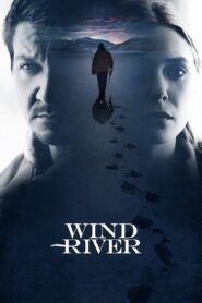 Wind River 2017 one on netflix