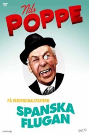 Spanska flugan 1993 one on netflix