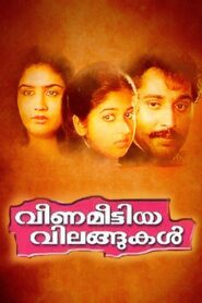 Veena Meettiya Vilangukal 1991 one on netflix