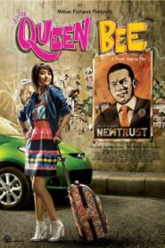 Queen Bee 2009 one on netflix