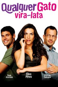 Any Stray Cat 2011 one on netflix