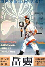 岳云 1984 one on netflix