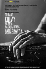Ano ang Kulay ng mga Nakalimutang Pangarap? 2013 one on netflix