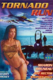Tornado Run 1995 one on netflix