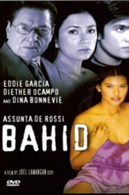 Bahid 2002 one on netflix