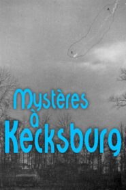 The New Roswell: Kecksburg Exposed 2003 one on netflix