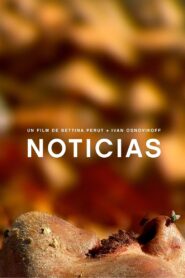 Noticias 2009 one on netflix