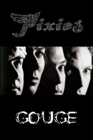 Pixies: Gouge 2004 one on netflix