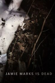 Jamie Marks Is Dead 2014 one on netflix
