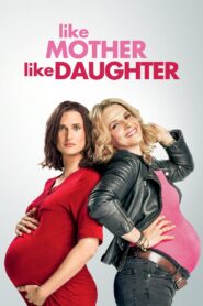 Like Mother, Like Daughter 2017 one on netflix