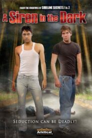 A Siren in the Dark 2009 one on netflix