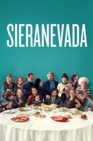 Sieranevada 2016 one on netflix