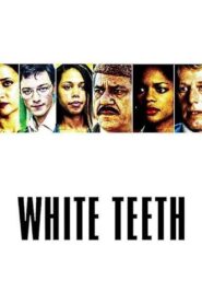 White Teeth 2002 one on netflix