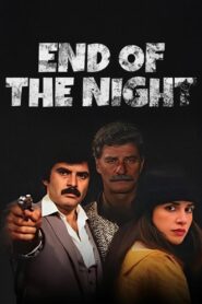 Gecenin Sonu 1983 one on netflix