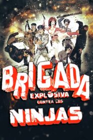 Explosive Brigade Against the Ninjas 1986 one on netflix