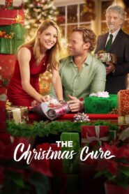 The Christmas Cure 2017 one on netflix