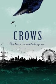 Crows – Nature Is Watching Us 2023 one on netflix