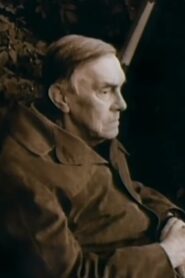 In the Middle of the World 1990 one on netflix