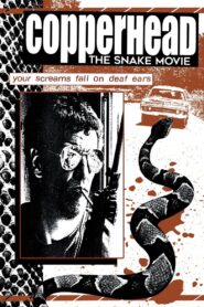Copperhead 1983 one on netflix