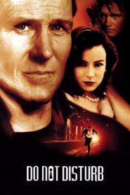 Do Not Disturb 1999 one on netflix