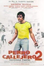 Perro callejero 2 1981 one on netflix