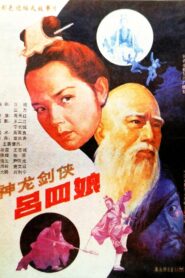 Shen long jian xia lü si niang 1989 one on netflix