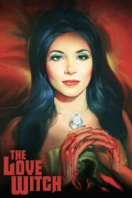 The Love Witch 2016 one on netflix