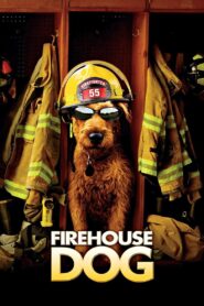 Firehouse Dog 2007 one on netflix