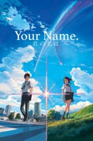 Your Name. 2016 one on netflix