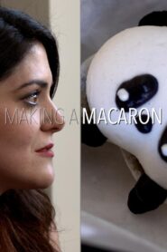 Making a Macaron 2017 one on netflix