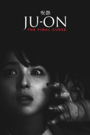 Ju-on: The Final Curse 2015 one on netflix