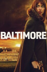 Baltimore 2024 one on netflix