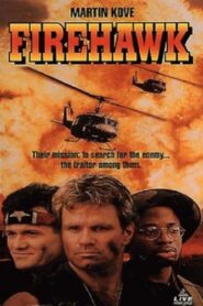 Firehawk 1993 one on netflix
