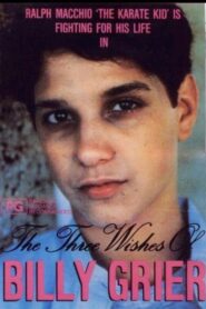 The Three Wishes of Billy Grier 1984 one on netflix