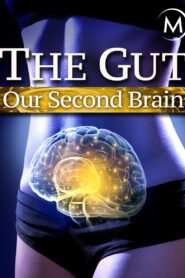 The Gut: Our Second Brain 2014 one on netflix