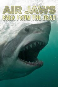 Air Jaws: Back From The Dead 2018 one on netflix