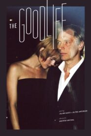 The Good Life 2010 one on netflix