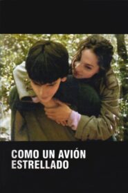 Como un avión estrellado 2005 one on netflix