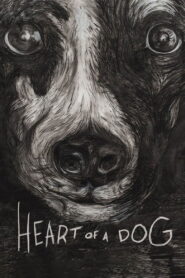 Heart of a Dog 2015 one on netflix