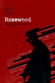Rosewood 2021 one on netflix