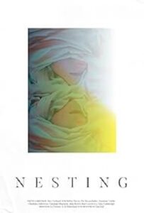 Nesting 2019 one on netflix
