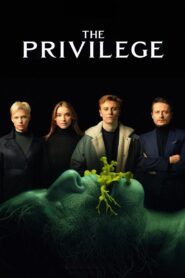 The Privilege 2022 one on netflix