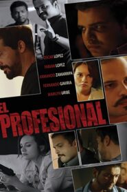The Professional 2014 one on netflix