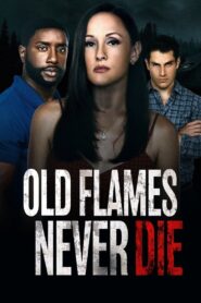 Old Flames Never Die 2022 one on netflix
