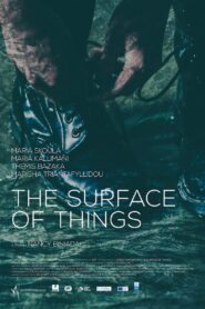 The Surface of Things 2017 one on netflix